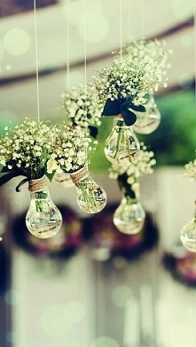 białe kwiatki są takie urocze