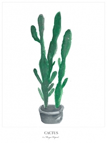 Cactu | print | 30x40 cm