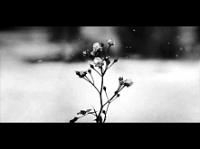 Chopin - Spring Waltz