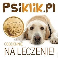 APEL! Do wszystkich ludzi dobrego serca! Wystarczy codziennie wejść na podaną stronę i kliknąć w obrazek. To tylko jedno darmowe kliknięcie. Tylko chwila dla nas, a dla tych psi...