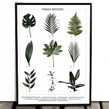 Botaniczny plakat URBAN BOTANIC a3