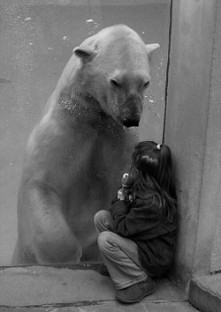 "(...) ludzie mają wrodzony talent do wybierania właśnie tego, co dla nich najgorsze."

J.K. Rowling