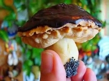 Grzybki - ciasteczka z kremówką