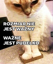 tylko pudełko się liczy :D