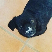 moje maleństwo Zuza