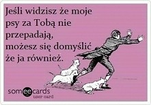 Jeśli widzisz, że moje psy za Tobą nie przepadają...