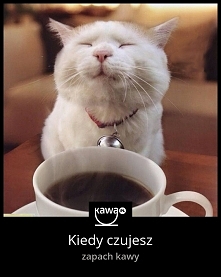 Kawowe memy i przepisy na k...