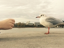 nie bój sie. klatka będzie ...