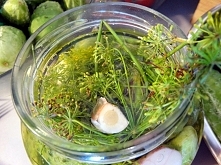 Podstawowy przepis na klasyczne ogórki małosolne :)