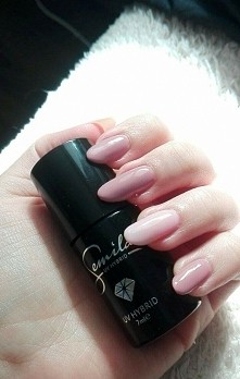 #semilac002 #semilac004 

pierwszy raz samodzielne wykonane hybrydy ♡