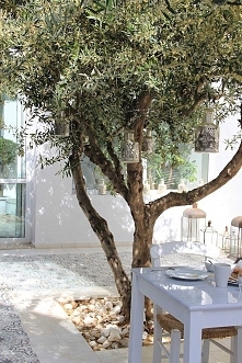 Prowansja i dekoracje w stylu prowansalskim