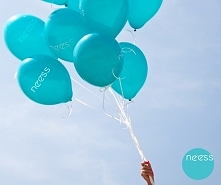 Daj się porwać lakierom NEEESS.