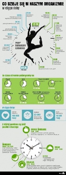 ciekawostki o organizmie