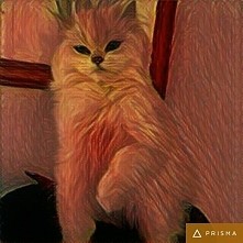 #Prisma #art