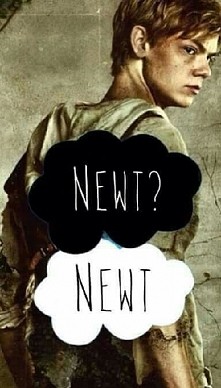 Newt!! ❤