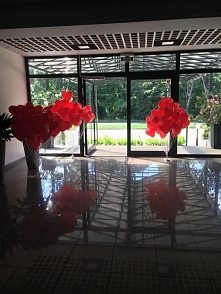 Zajazd Pod Borem ( Pokój)