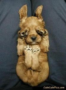 Słodkości poziom 1000000000