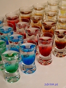 Kolorowe Wściekłe Psy
/kliknij w zdjęcie/