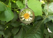 Wisiorek z rumiankiem. Terrarium. Acoya Jewellery.