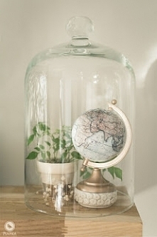 Metamorfoza globusu. Tutori...