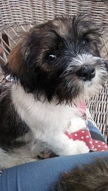 Jak tu nie kochać takiej istotki hm ? :) Egonek ;*