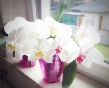 Przedstawiamy aranżację naszej łazienki. W stylu morskim, letnim, wakacyjnym, w kolorach naturalnych.