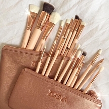 Zoeva brushes
