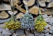 Kwiaty z ląki. Bukiety. Wniebowzięcie Najświętszej Maryi Panny