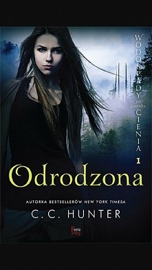 wodospady cienia po zmroku,...