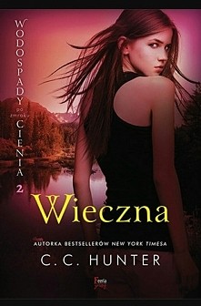 wodospady cienia po zmroku....