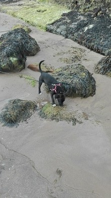 w poszukiwaniu skarbów ... :)