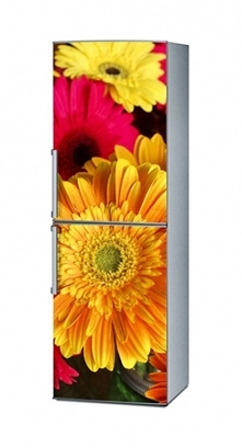 Naklejka na lodówkę - Kompozycja gerber 1120