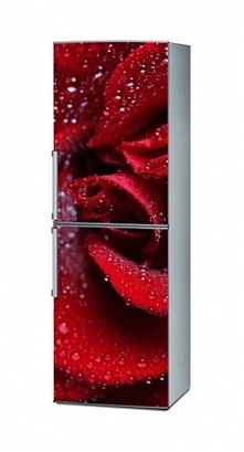 Naklejka na lodówkę - Bordo...