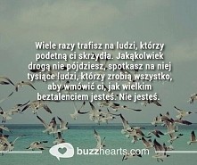 Wiele razy trafisz na ludzi, którzy podetną Ci skrzydła...