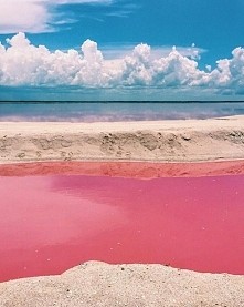 Różowa laguna w meksykańskiej wiosce Las Coloradas