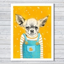 OBRAZ NA PŁÓTNIE -  60x80 PIES Chihuahua