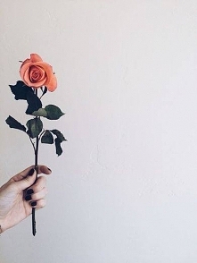 Zmarnujesz życie, tęskniąc za nim, a prawdziwa miłość przejdzie ci koło nosa i nawet jej nie zauważysz, bo będziesz patrzeć nie w tym kierunku.