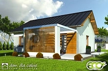 Marcin - projekt niewielkie...