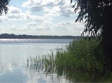 Dzień 4: Niestety dziś nie zrobiłam żadnego treningu:( choć ja jestem smutna z tego powodu to wiem, ze moje mięśnie mi dziękują, bo sie troszkę zregenerują. A jutro z większą mo...