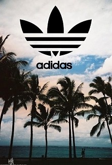 Piszcie jakie tapety mam wam szukać ^^