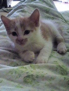 Ktoś tu się obudził