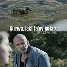 ... Bardzo fajny... :-P