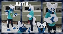 A tu mamy biało - niebieską Akite :D