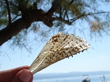 Cztery produkty, które idealnie sprawdziły się podczas urlopu w Chorwacji.