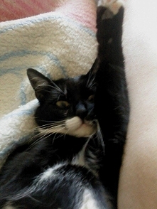 Kto nabroił ?
Jaaaaaaaa :D