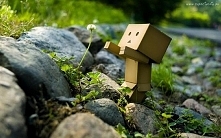 This flower is beautiful!