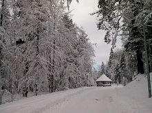 Zawsze w zimę robi się ciemno szybciej, właśnie dlatego w tym jest tyle magii. <3