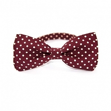 Muszka klasyczna #10