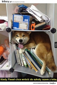 Jaki zadowolony !!! :)