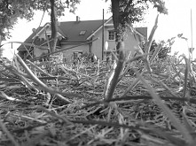 przypadkowy domek (zrobiłam...